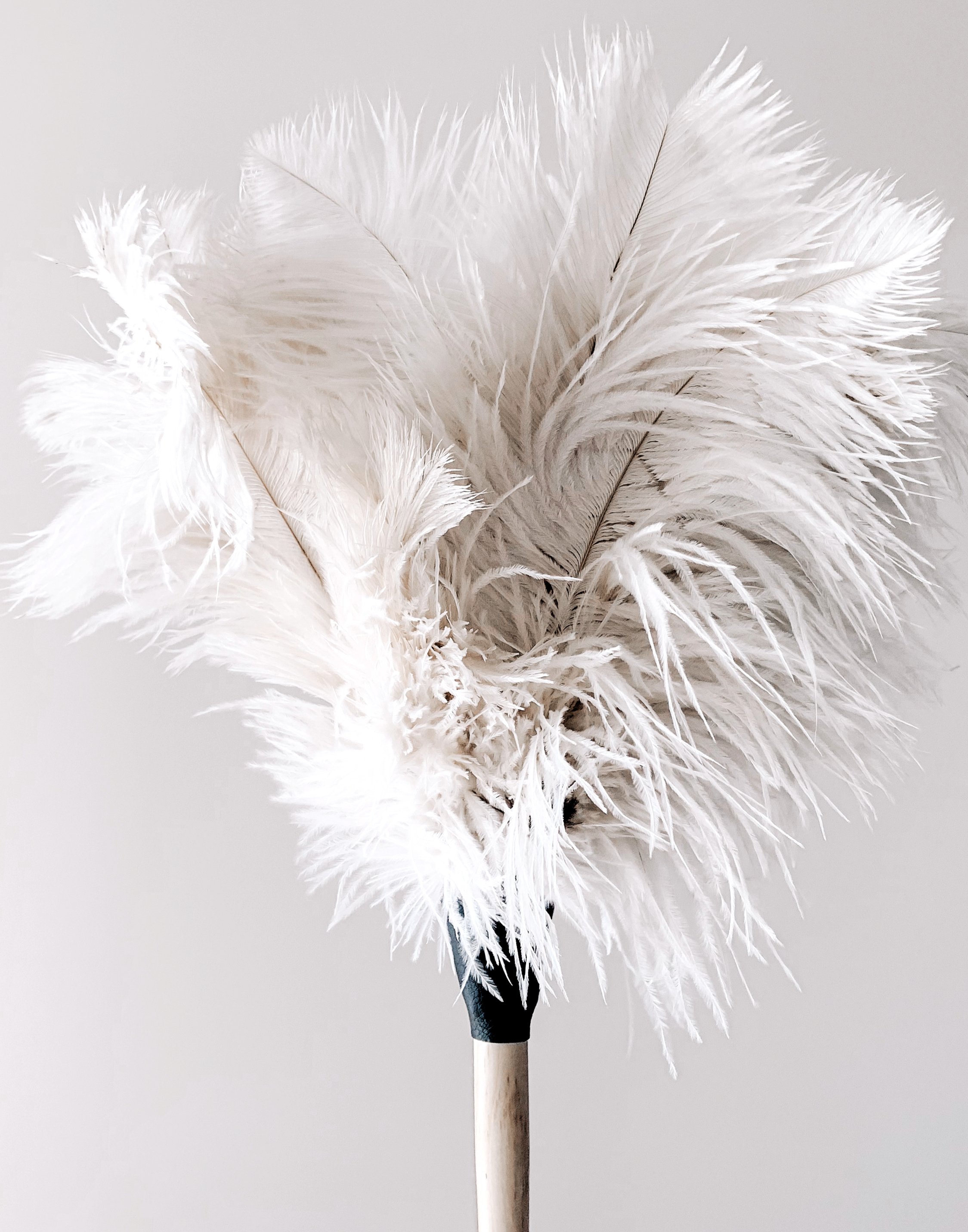 A white feather duster attached to a light-colored wooden handle